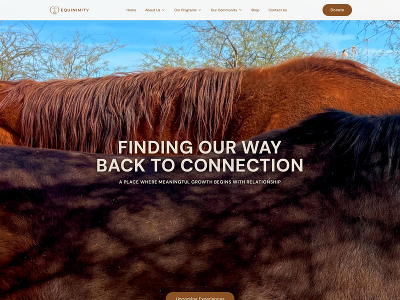 Equinimity Tucson website homepage